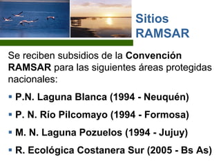 Se reciben subsidios de la Convención
RAMSAR para las siguientes áreas protegidas
nacionales:
P.N. Laguna Blanca (1994 - Neuquén)
P. N. Río Pilcomayo (1994 - Formosa)
M. N. Laguna Pozuelos (1994 - Jujuy)
R. Ecológica Costanera Sur (2005 - Bs As)
Sitios
RAMSAR
 