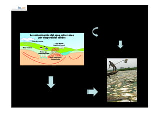 PELIGROS PARA EL MEDIO AMBIENTE Y EL HOMBRE


Percolación de lixiviados (contaminación napas)
                                                        Acumulación de basura   .
                                                         Disminución de los cauces
                                                                y canales




                                                             INUNDACIONES




  Incremento de la carga orgánica en cursos de agua
  y disminución del oxígeno disuelto




   Aumenta los nutrientes y algas, que dan lugar a la
   eutroficación (muerte de los peces).
 