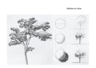 Arboles en vista
 