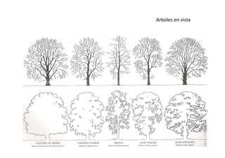 Arboles en vista
 