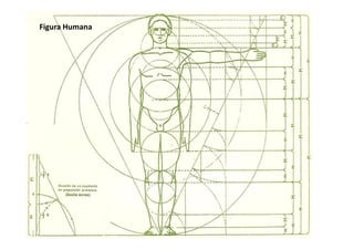 Figura Humana
 