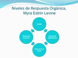 Niveles de Respuesta Orgánica,
Myra Estrin Levine
Miedo
Respuesta
inflamatoria
Respuesta al
estrés
Respuesta
sensorial
 