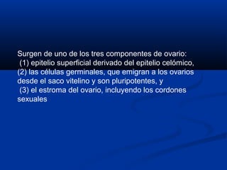 Surgen de uno de los tres componentes de ovario:
(1) epitelio superficial derivado del epitelio celómico,
(2) las células germinales, que emigran a los ovarios
desde el saco vitelino y son pluripotentes, y
(3) el estroma del ovario, incluyendo los cordones
sexuales

 