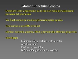 Glomerulonefritis Crónica
Deterioro lento y progresivo de la función renal por afectación
primaria del glomérulo
Vía final común de muchas glomerulopatías agudas
Evoluciona a una IRC terminal
Clínica: azoemia, anemia, HTA y proteinuria. Riñones pequeños
Histología:
Hialinización y esclerosis glomerular
Atrofia tubular
Esclerosis arteriolar
Inflamación y fibrosis intersticial
 