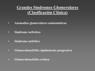 Grandes Síndromes Glomerulares
(Clasificación Clínica)
• Anomalías glomerulares asintomáticas
• Síndrome nefrótico
• Síndrome nefrítico
• Glomerulonefritis rápidamente progresiva
• Glomerulonefritis crónica
 