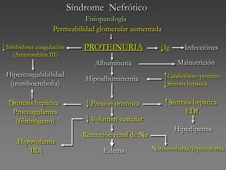 Síndrome Nefrótico
Fisiopatología
Permeabilidad glomerular aumentada
Hipovolemia
IRA
Malnutrición
Normovolemia/hipervolemia
PROTEINURIA
Albuminuria
Hipoalbuminemia
Presión oncótica
Volumen vascular
Retención renal de Na
Edema
Ig Infecciónes
Hipercoagulabilidad
(tromboembolia)
Inhibidores coagulación
(Antitrombina III)
Síntesis hepática
Procoagulantes
(fibrinógeno)
Catabolismo protéico
Síntesis hepática
Síntesis hepática
LDL
Hiperlipemia
 