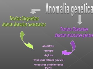 Muestras:
•sangre
•tejidos
•muestras fetales (LA;VC)
•muestras embrionarias
(GPI)
 