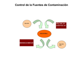 Control de la Fuentes de Contaminación
Operador
MUESTRA
Operador
Otro
TÉCNICAS
ASÉPTICAS
BIOSEGURIDAD
 