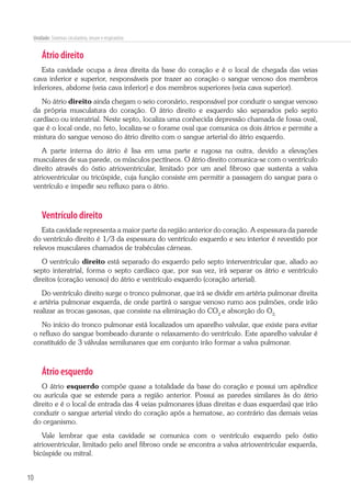10
Unidade: Sistemas circulatório, imune e respiratório
Átrio direito
Esta cavidade ocupa a área direita da base do coração e é o local de chegada das veias
cava inferior e superior, responsáveis por trazer ao coração o sangue venoso dos membros
inferiores, abdome (veia cava inferior) e dos membros superiores (veia cava superior).
No átrio direito ainda chegam o seio coronário, responsável por conduzir o sangue venoso
da própria musculatura do coração. O átrio direito e esquerdo são separados pelo septo
cardíaco ou interatrial. Neste septo, localiza uma conhecida depressão chamada de fossa oval,
que é o local onde, no feto, localiza-se o forame oval que comunica os dois átrios e permite a
mistura do sangue venoso do átrio direito com o sangue arterial do átrio esquerdo.
A parte interna do átrio é lisa em uma parte e rugosa na outra, devido a elevações
musculares de sua parede, os músculos pectíneos. O átrio direito comunica-se com o ventrículo
direito através do óstio atrioventricular, limitado por um anel fibroso que sustenta a valva
atrioventricular ou tricúspide, cuja função consiste em permitir a passagem do sangue para o
ventrículo e impedir seu refluxo para o átrio.
Ventrículo direito
Esta cavidade representa a maior parte da região anterior do coração. A espessura da parede
do ventrículo direito é 1/3 da espessura do ventrículo esquerdo e seu interior é revestido por
relevos musculares chamados de trabéculas cárneas.
O ventrículo direito está separado do esquerdo pelo septo interventricular que, aliado ao
septo interatrial, forma o septo cardíaco que, por sua vez, irá separar os átrio e ventrículo
direitos (coração venoso) do átrio e ventrículo esquerdo (coração arterial).
Do ventrículo direito surge o tronco pulmonar, que irá se dividir em artéria pulmonar direita
e artéria pulmonar esquerda, de onde partirá o sangue venoso rumo aos pulmões, onde irão
realizar as trocas gasosas, que consiste na eliminação do CO2
e absorção do O2.
No início do tronco pulmonar está localizados um aparelho valvular, que existe para evitar
o refluxo do sangue bombeado durante o relaxamento do ventrículo. Este aparelho valvular é
constituído de 3 válvulas semilunares que em conjunto irão formar a valva pulmonar.
Átrio esquerdo
O átrio esquerdo compõe quase a totalidade da base do coração e possui um apêndice
ou aurícula que se estende para a região anterior. Possui as paredes similares às do átrio
direito e é o local de entrada das 4 veias pulmonares (duas direitas e duas esquerdas) que irão
conduzir o sangue arterial vindo do coração após a hematose, ao contrário das demais veias
do organismo.
Vale lembrar que esta cavidade se comunica com o ventrículo esquerdo pelo óstio
atrioventricular, limitado pelo anel fibroso onde se encontra a valva atrioventricular esquerda,
bicúspide ou mitral.
 