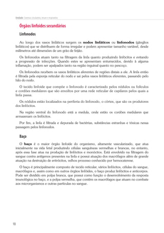 18
Unidade: Sistemas circulatório, imune e respiratório
Órgãos linfoides secundários
Linfonodos
Ao longo dos vasos linfáticos surgem os nodos linfáticos ou linfonodos (gânglios
linfáticos) que se distribuem de forma irregular e podem apresentar tamanho variável, desde
milímetros até dimensões de um grão de feijão.
Os linfonodos atuam tanto na filtragem da linfa quanto produzindo linfócitos e evitando
a progressão de infecções. Quando estes se apresentam entumecidos, devido à alguma
inflamação, podem ser apalpados tanto na região inguinal quanto no pescoço.
Os linfonodos recebem os vasos linfáticos aferentes de regiões distais a ele. A linfa então
é filtrada pela esponja reticular do nodo e sai pelos vasos linfáticos eferentes, passando pelo
hilo do nodo.
O tecido linfoide que compõe o linfonodo é caracterizado pelos nódulos ou folículos
e cordões medulares que são envoltos por uma rede reticular de capilares pelos quais a
linfa passa.
Os nódulos estão localizados na periferia do linfonodo, o córtex, que são os produtores
dos linfócitos.
Na região ventral do linfonodo está a medula, onde estão os cordões medulares que
armazenam os linfócitos.
Por fim, a linfa é filtrada e depurada de bactérias, substâncias estranhas e tóxicas nessa
passagem pelos linfonodos.
Baço
O baço é o maior órgão linfoide do organismo, altamente vascularizado, que atua
inicialmente na vida fetal produzindo células sanguíneas vermelhas e brancas, no entanto,
após essa fase atua na produção de linfócitos e monócitos. Está envolvido na filtragem do
sangue contra antígenos presentes na linfa e possui atuação dos macrófagos além de grande
atuação na destruição de eritrócitos, velhos processo conhecido por hemocaterese.
O baço é principalmente composto de tecido reticular, vários linfócitos, células do sangue,
macrófagos e, assim como em outros órgãos linfóides, o baço produz linfócitos e anticorpos.
Pode ser dividido em polpa branca, que possui como função o desenvolvimento da resposta
imunológica no baço, e a polpa vermelha, que contém os macrófagos que atuam no combate
aos microrganismos e outras partículas no sangue.
 