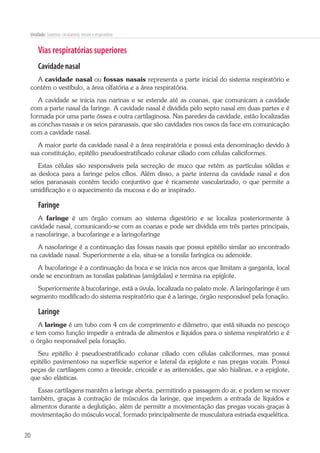 20
Unidade: Sistemas circulatório, imune e respiratório
Vias respiratórias superiores
Cavidade nasal
A cavidade nasal ou fossas nasais representa a parte inicial do sistema respiratório e
contém o vestíbulo, a área olfatória e a área respiratória.
A cavidade se inicia nas narinas e se estende até as coanas, que comunicam a cavidade
com a parte nasal da faringe. A cavidade nasal é dividida pelo septo nasal em duas partes e é
formada por uma parte óssea e outra cartilaginosa. Nas paredes da cavidade, estão localizadas
as conchas nasais e os seios paranasais, que são cavidades nos ossos da face em comunicação
com a cavidade nasal.
A maior parte da cavidade nasal é a área respiratória e possui esta denominação devido à
sua constituição, epitélio pseudoestratificado colunar ciliado com células caliciformes.
Estas células são responsáveis pela secreção de muco que retém as partículas sólidas e
as desloca para a faringe pelos cílios. Além disso, a parte interna da cavidade nasal e dos
seios paranasais contém tecido conjuntivo que é ricamente vascularizado, o que permite a
umidificação e o aquecimento da mucosa e do ar inspirado.
Faringe
A faringe é um órgão comum ao sistema digestório e se localiza posteriormente à
cavidade nasal, comunicando-se com as coanas e pode ser dividida em três partes principais,
a nasofaringe, a bucofaringe e a laringofaringe
A nasofaringe é a continuação das fossas nasais que possui epitélio similar ao encontrado
na cavidade nasal. Superiormente a ela, situa-se a tonsila faríngica ou adenoide.
A bucofaringe é a continuação da boca e se inicia nos arcos que limitam a garganta, local
onde se encontram as tonsilas palatinas (amígdalas) e termina na epiglote.
Superiormente à bucofaringe, está a úvula, localizada no palato mole. A laringofaringe é um
segmento modificado do sistema respiratório que é a laringe, órgão responsável pela fonação.
Laringe
A laringe é um tubo com 4 cm de comprimento e diâmetro, que está situada no pescoço
e tem como função impedir a entrada de alimentos e líquidos para o sistema respiratório e é
o órgão responsável pela fonação.
Seu epitélio é pseudoestratificado colunar ciliado com células caliciformes, mas possui
epitélio pavimentoso na superfície superior e lateral da epiglote e nas pregas vocais. Possui
peças de cartilagem como a tireoide, cricoide e as aritenoides, que são hialinas, e a epiglote,
que são elásticas.
Essas cartilagens mantêm a laringe aberta, permitindo a passagem do ar, e podem se mover
também, graças à contração de músculos da laringe, que impedem a entrada de líquidos e
alimentos durante a deglutição, além de permitir a movimentação das pregas vocais graças à
movimentação do músculo vocal, formado principalmente de musculatura estriada esquelética.
 