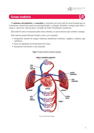 7
Sistema circulatório
O sistema circulatório ou vascular é composto por uma rede de vasos (canais) que se
comunicam, através dos quais seu principal órgão, o coração, bombeia o sangue para todo o
corpo e, após isso, retorna para o coração de onde é bombeado novamente.
Esta rede de vasos é composta pelos vasos arteriais, os vasos venosos que contém o sangue.
Este sistema possui diversas funções como, por exemplo:
• transportar através do sangue inúmeras substâncias nutritivas, oxigênio, resíduos, gás
carbônico;
• atuar na regulação da temperatura do corpo;
• transportar hormônios e sais minerais.
Figura 1. Esquema geral da circulação sanguínea.
Fonte: iStock/Getty Images
 