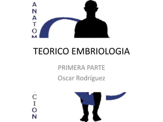 TEORICO EMBRIOLOGIA
    PRIMERA PARTE
    Oscar Rodríguez
 