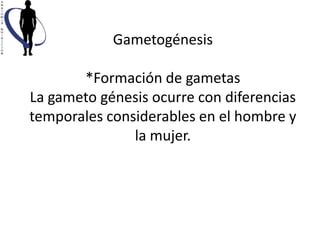 Gametogénesis

       *Formación de gametas
La gameto génesis ocurre con diferencias
temporales considerables en el hombre y
               la mujer.
 