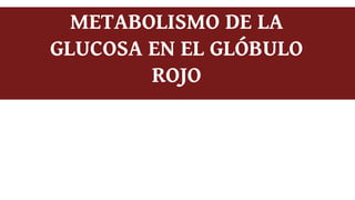 METABOLISMO DE LA
GLUCOSA EN EL GLÓBULO
ROJO
 