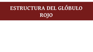 ESTRUCTURA DEL GLÓBULO
ROJO
 