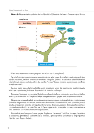 10
Unidade: Origem e evolução das plantas
Figura 2 - Representação evolutiva dos três Domínios (Eubacteria, Archaea e Eukarya) e seus Reinos.
BACTERIA ARCHAEA EUKARYA
REINOS:
DOMÍNIOS:
Eubacteria
Archaebacteria
Animalia
Fungi
Plantas
Protista
Ancestral comum
Com isso, retomamos nossa pergunta inicial: o que é uma planta?
Se a definimos como um organismo autótrofo, ou seja, capaz de produzir moléculas orgânicas
de que necessita, isto nos fará incluir dentro da categoria “planta” as bactérias fotossintetizantes
(cianofíceas), alguns protistas, além das plantas “verdes” (algas, musgos, samambaias, coníferas
e angiospermas).
Se, por outro lado, ela for definida como organismo séssel de crescimento indeterminado,
junto aos organismos já citados deve-se incluir também os fungos.
Por razões históricas, os cursos de Botânica geralmente incluem todos estes organismos citados,
ainda que atualmente se compreenda que eles pertençam a grupos evolutivamente distintos.
Finalmente, respondendo à pergunta desta seção, umas das muitas definições possíveis para
plantas é: organismos eucariotos sésseis com crescimento indeterminado, que possuem parede
celular, armazenam energia, principalmente na forma de amido, capazes de realizar fotossíntese,
principalmente devido às clorofilas a e b. Seus esporos são protegidos por esporopoleninas e
seus embriões são nutricionalmente dependentes.
Esta definição abrange todos os grupos de plantas “terrestres”: briófitas (musgos, hepáticas
e antóceros), pteridófitas (samambaias e licófitas), gimnospermas (coníferas) e angiospermas
(plantas com flores e frutos).
 