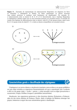 13
Figura 3 - Exemplos de representação do relacionamento filogenético em diagrama de Venn
(à esquerda) e cladograma (à direita). As letras representam os táxons terminais
(que podem pertencer à qualquer nível hierárquico da classificação). No exemplo (I),
o relacionamento entre os táxons A, B, C, D e E é desconhecido, mas a hipótese filogenética
(o cladograma à direita) sugere que os cinco terminais possuem um ancestral comum. O exemplo (2)
mostra uma hipótese de relacionamento entre os táxons, onde D e E são grupos-irmãos, assim como
B e C. A é grupo-irmão do clado B + C, e todos os táxons compartilham um ancestral comum.
Características gerais e classificação das criptógamas
Criptógama é um termo clássico e atualmente impróprio, pois se refere a um grupo polifilético
em que estão incluídos os organismos fotossintetizantes em que a reprodução não é evidente
a olho nu (do grego cripto = oculto + gamos = união sexuada) como as algas (procariontes e
eucariontes), fungos, briófitas (musgos) e pteridófitas (samambaias).
Atualmente, tais organismos pertencem à dois domínios distintos (Eubacteria e Eukarya),
além de três reinos distintos de Eukarya. Porém, dado à tradição da Botânica abranger tais
grupos, trataremos a seguir das suas características gerais e classificação.
 