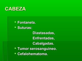 CABEZA
 Fontanela.
 Suturas:
Diastasadas,
Enfrentadas,
Cabalgadas.
 Tumor serosanguineo.
 Cefalohematoma.

 