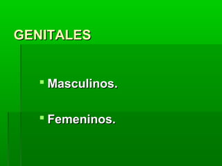 GENITALES
 Masculinos.
 Femeninos.

 