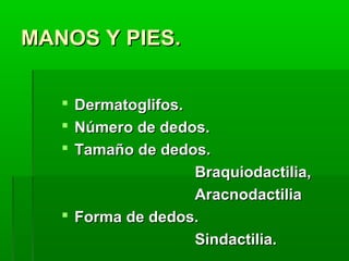 MANOS Y PIES.
Dermatoglifos.
Número de dedos.
Tamaño de dedos.
Braquiodactilia,
Aracnodactilia
 Forma de dedos.
Sindactilia.




 