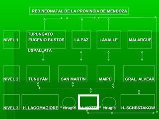 RED NEONATAL DE LA PROVINCIA DE MENDOZA

NIVEL 1

TUPUNGATO
EUGENIO BUSTOS

LA PAZ

LAVALLE

MALARGUE

USPALLATA

NIVEL 2

NIVEL 3

TUNUYÁN

H. LAGOMAGIORE

SAN MARTÍN

cirugía

H. NOTTI

MAIPÚ

cirugía

GRAL. ALVEAR

H. SCHESTAKOW

 