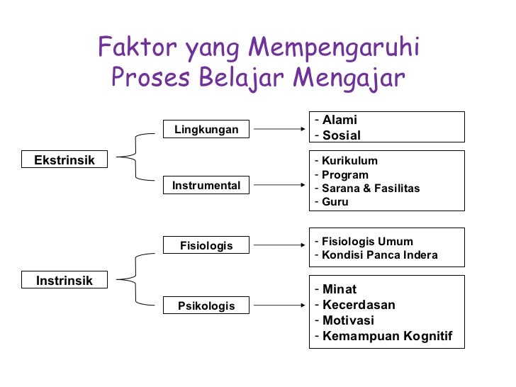 Teori dan prinsip prinsip yang mendasari pengajaran