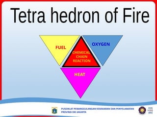 HEAT
FUEL
OXYGEN
CHEMICAL
CHAIN
REACTION
 