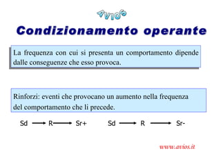 Teorie apprendim | PPT