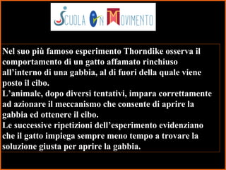 14
Nel suo più famoso esperimento Thorndike osserva il
comportamento di un gatto affamato rinchiuso
all’interno di una gabbia, al di fuori della quale viene
posto il cibo.
L’animale, dopo diversi tentativi, impara correttamente
ad azionare il meccanismo che consente di aprire la
gabbia ed ottenere il cibo.
Le successive ripetizioni dell’esperimento evidenziano
che il gatto impiega sempre meno tempo a trovare la
soluzione giusta per aprire la gabbia.
 