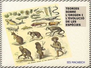 TEORIES SOBRE L’ORIGEN I L’EVOLUCIÓ DE LES ESPÈCIES IES MACABICH 