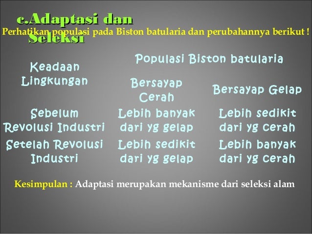 Teori evolusi Power Point
