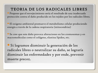 TEORIA DE LOS RADICALES LIBRES
Propone que el envejecimiento sería el resultado de una inadecuada
protección contra el daño producido en los tejidos por los radicales libres.
El oxigeno ambiental promueve el metabolismo celular produciendo
energía a través de la cadena respiratoria (mitocondrias)
Se cree que este daño provoca alteraciones en los cromosomas y en
macromoléculas como el colágeno, elastina lípidos, etc.
Si logramos disminuir la generación de los
radicales libres o neutralizar su daño, se lograría
disminuir las enfermedades y por ende, prevenir
muerte precoz.
 