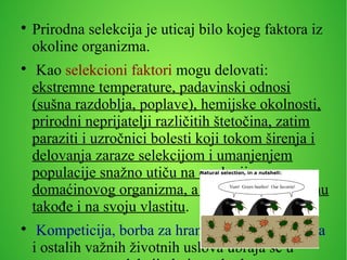 
Prirodna selekcija je uticaj bilo kojeg faktora iz
okoline organizma.

Kao selekcioni faktori mogu delovati:
ekstremne temperature, padavinski odnosi
(sušna razdoblja, poplave), hemijske okolnosti,
prirodni neprijatelji različitih štetočina, zatim
paraziti i uzročnici bolesti koji tokom širenja i
delovanja zaraze selekcijom i umanjenjem
populacije snažno utiču na evoluciju
domaćinovog organizma, a kroz njegovu obranu
takođe i na svoju vlastitu.

Kompeticija, borba za hranu, životnog prostora
i ostalih važnih životnih uslova ubraja se u
 