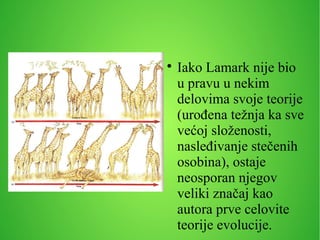
Iako Lamark nije bio
u pravu u nekim
delovima svoje teorije
(urođena težnja ka sve
većoj složenosti,
nasleđivanje stečenih
osobina), ostaje
neosporan njegov
veliki značaj kao
autora prve celovite
teorije evolucije.
 