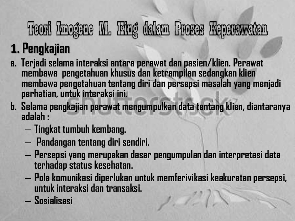 Teori konseptual imogene m. king