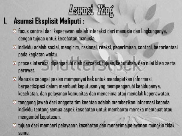 Teori konseptual imogene m. king