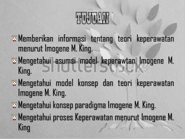 Teori konseptual imogene m. king