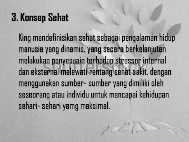 Teori konseptual imogene m. king