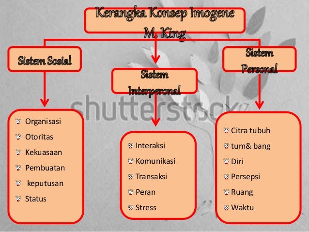 Teori konseptual Imogene M. King