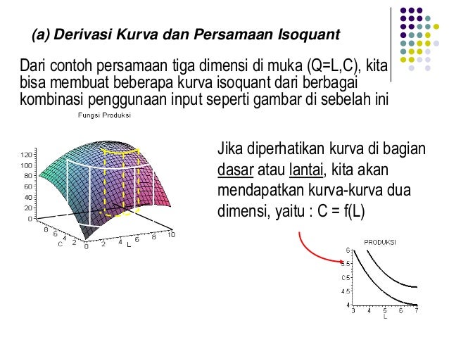 Teori produksi ekonomi mikro
