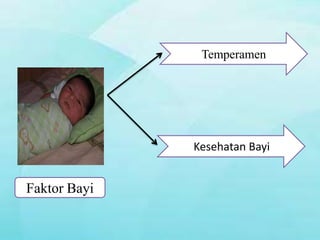 Temperamen

Kesehatan Bayi

Faktor Bayi

 