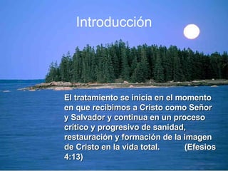 Introducción El tratamiento se inicia en el momento en que recibimos a Cristo como Señor y Salvador y continua en un proceso crítico y progresivo de sanidad, restauración y formación de la imagen de Cristo en la vida total.  (Efesios 4:13) 