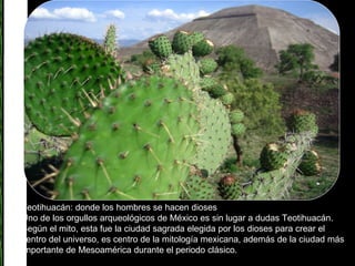 Teotihuacán: donde los hombres se hacen dioses  Uno de los orgullos arqueológicos de México es sin lugar a dudas Teotihuacán. Según el mito, esta fue la ciudad sagrada elegida por los dioses para crear el centro del universo, es centro de la mitología mexicana, además de la ciudad más importante de Mesoamérica durante el periodo clásico.  
