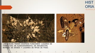 HIST
ORIA
TEOTIHUACA
T L A M I M I L O L P A
LAS CUEVAS TIENEN DIVERSAS FUNCIONES: LUGARES DE
HABITACIÓN, DE ALMACENAMIENTO, DE INHUMACIÓN,
MORADA DE DIOSES Y LUGARES DE RITOS DE PASO.
 