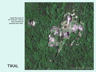 TIKAL Photo Courtesy George and Audrey DeLange Aerial Plan View of the Tikal site. The two main pyramids sit opposite each other. 