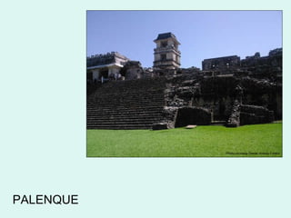 PALENQUE Photo courtesy Daniel Andres Forero 