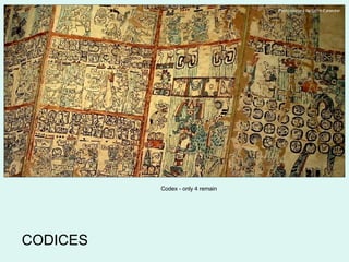 Photo courtesy Benjamin Earwicker Codex - only 4 remain CODICES 