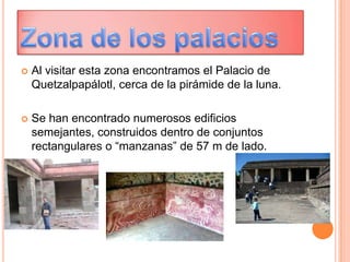  Al visitar esta zona encontramos el Palacio de
Quetzalpapálotl, cerca de la pirámide de la luna.
 Se han encontrado numerosos edificios
semejantes, construidos dentro de conjuntos
rectangulares o “manzanas” de 57 m de lado.
 
