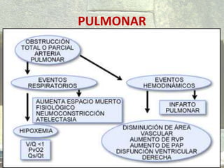PULMONAR
 